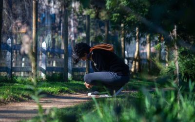 La medicina de la tierra